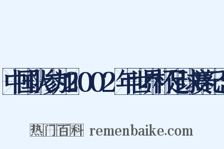 中国队参加2002年世界杯足球赛纪念是什么意思的图片
